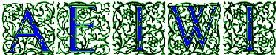 AEIWI Search Engine